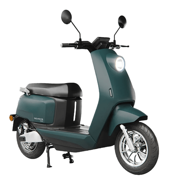 DEEP FOREST GREEN (mat)