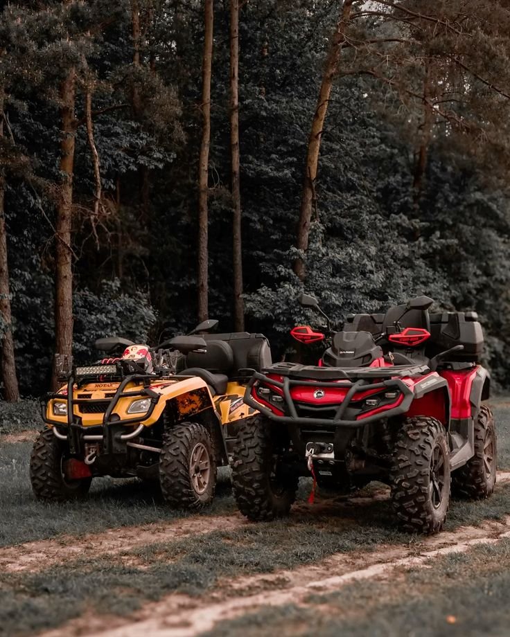 17029ca5df83cb254535e0a9e005eec6