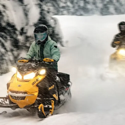 PredictionsSkidoo4-min